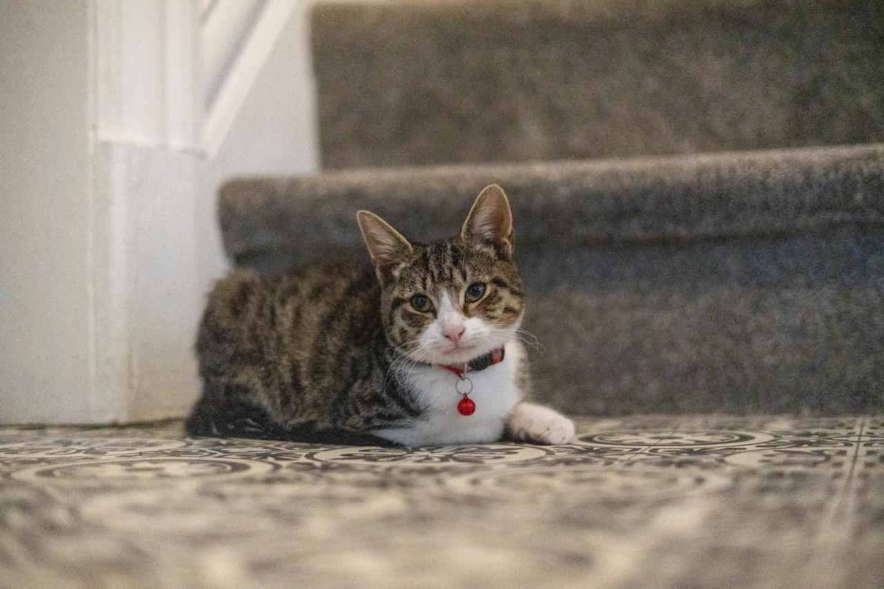 블랙풀 Cavendish Cat And Gaming House 아파트 외부 사진